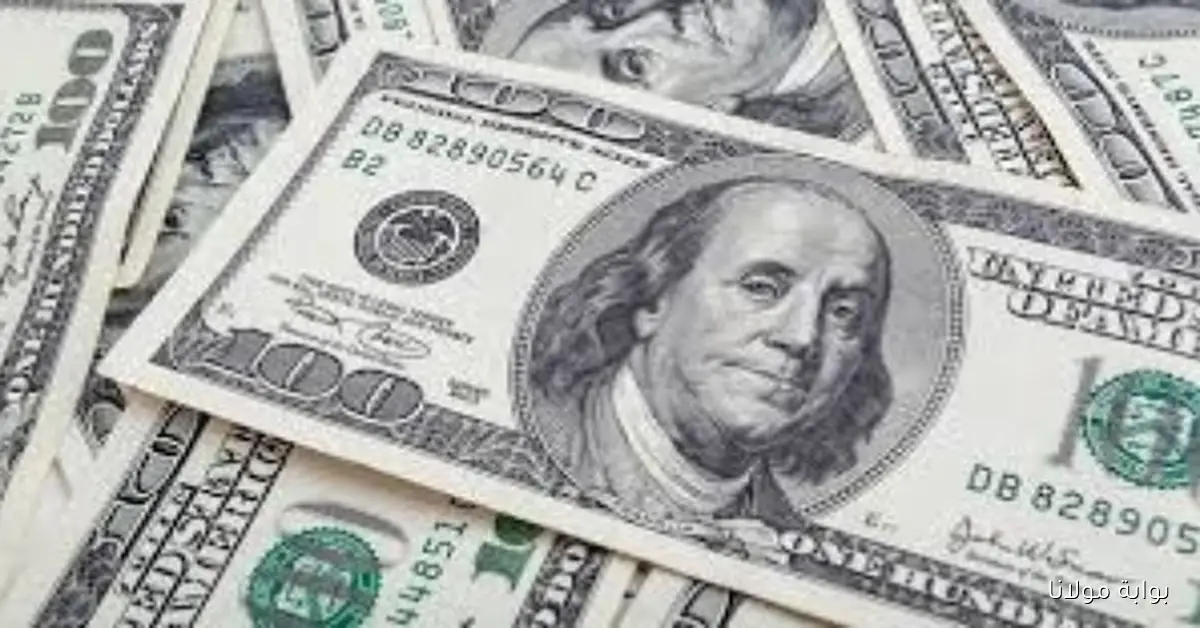 سعر الدولار اليوم 14 سبتمبر 2025 وأفضل العروض المتاحة