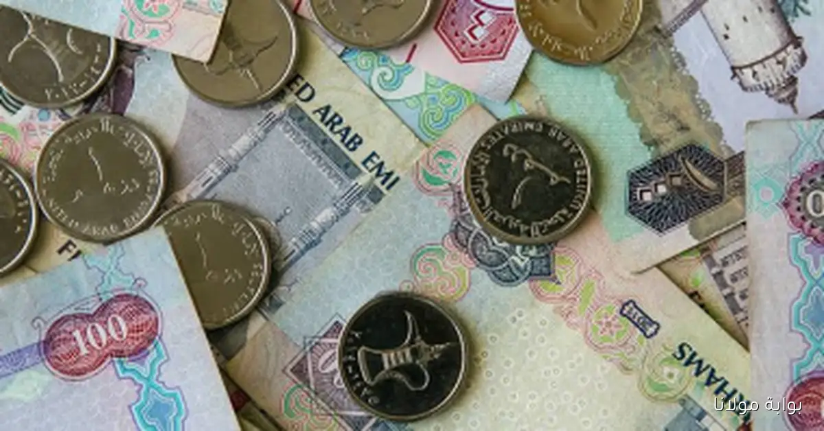 سعر الدرهم الإماراتي يحافظ على استقراره اليوم الجمعة 19 سبتمبر 2025 مع عطلة نهاية الأسبوع