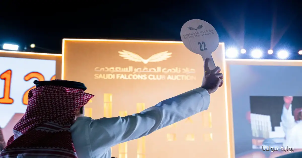 مزاد نادي الصقور السعودي يحقق نجاحاً مذهلاً ببيع يزيد عن 41 مليون ريال خلال 5 سنوات
