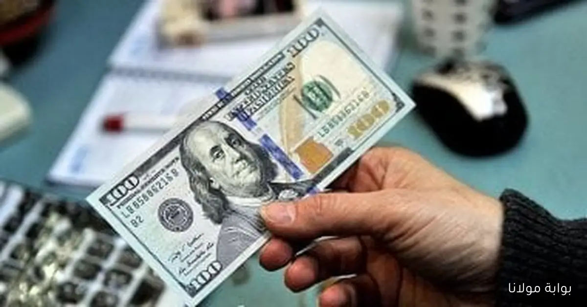 أسعار الدولار اليوم الأحد 28 سبتمبر 2025 في البنوك مقابل الجنيه وما يحيط بها من مستجدات