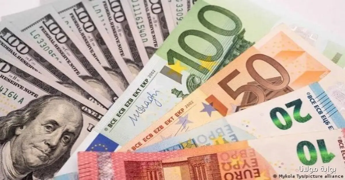 أسعار العملات الأجنبية في مصر يوم الإثنين وفقًا لأحدث المستجدات