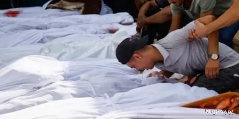 إعلام فلسطيني: ارتفاع عدد الشهداء في قطاع غزة إلى 80 جراء نيران الاحتلال منذ فجر اليوم