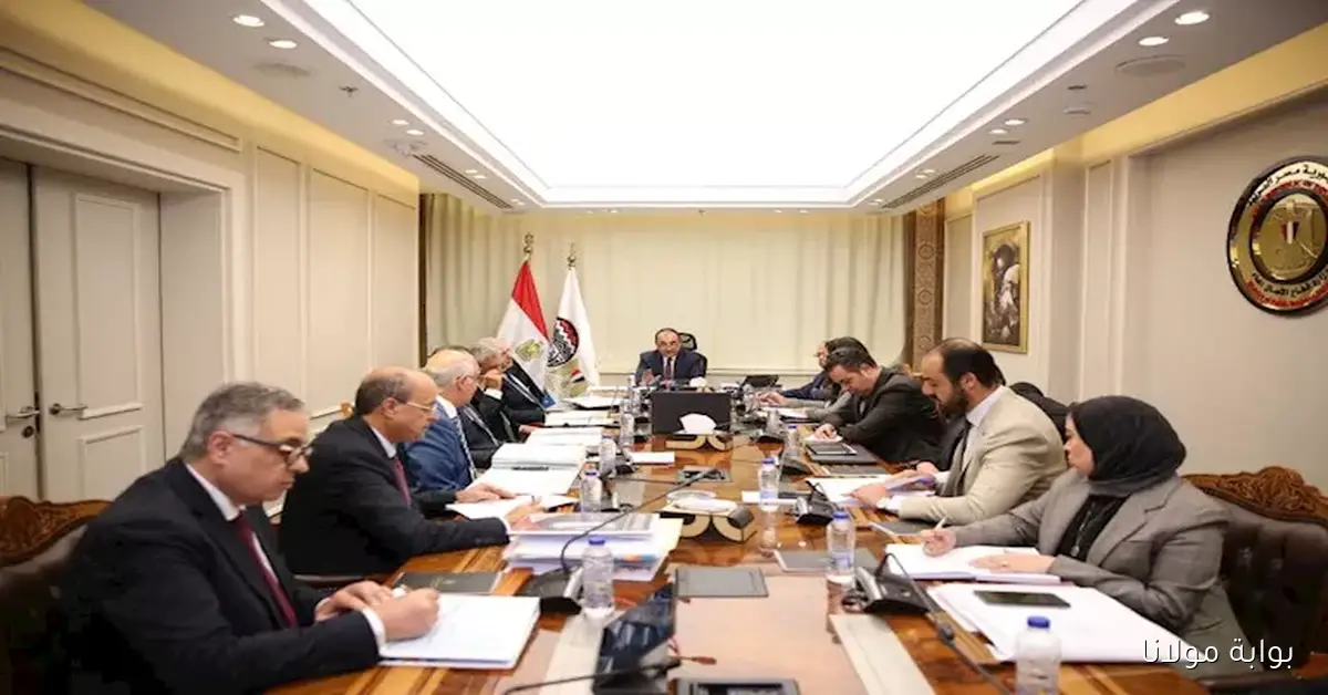 اجتماع موسع لوزير قطاع الأعمال مع الرؤساء التنفيذيين للشركات القابضة لتعزيز التعاون