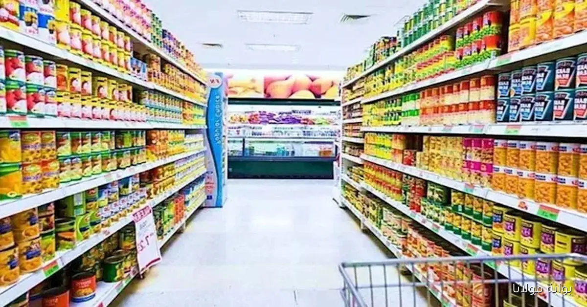 كيلو الأرز المعبأ بكام.. ارتفاع أسعار الجبن والسلع الأساسية في الأسواق المصرية اليوم