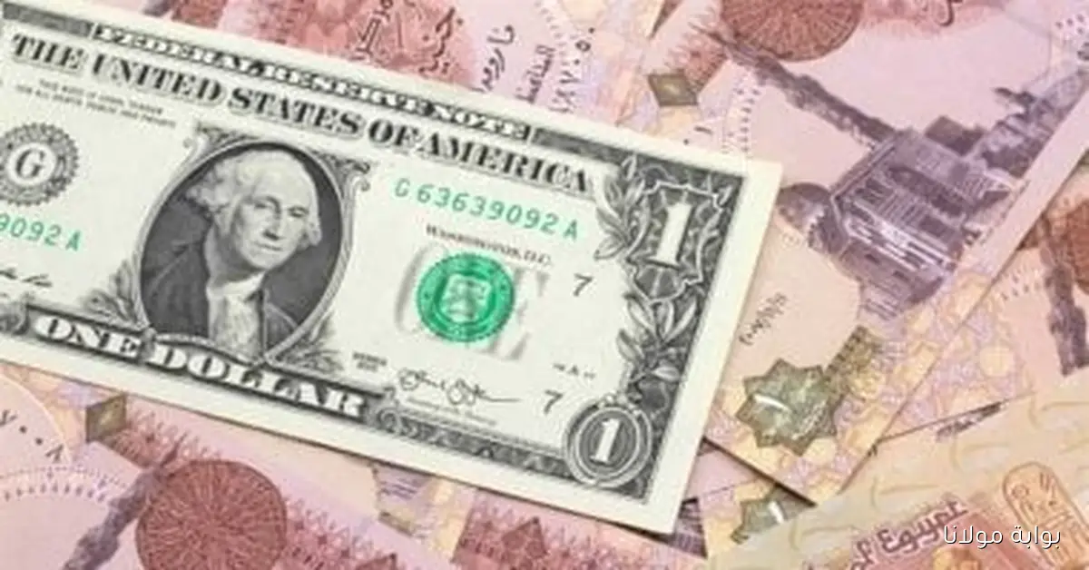 استقرار سعر الدولار اليوم السبت 27 سبتمبر 2025 بعد تراجع 6 قروش الأسبوع الماضي