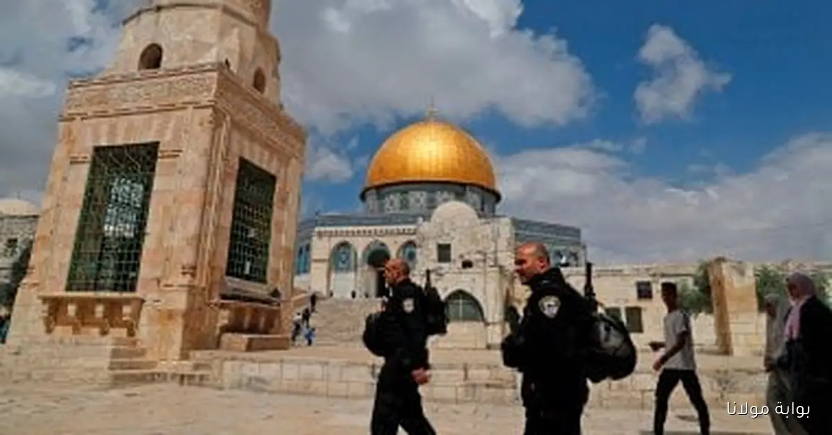 اقتحام عشرات المستوطنين باحات المسجد الأقصى واعتقال 16 فلسطينياً من الضفة