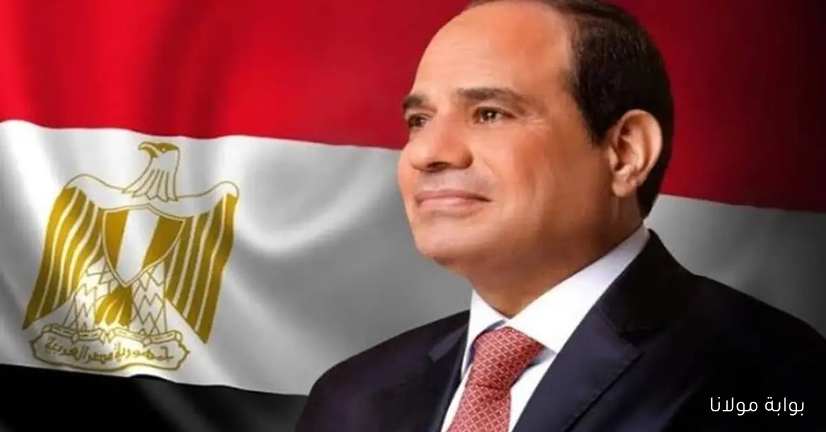 الرئيس السيسي يؤكد على أهمية الحفاظ على سعر الصرف المرن لدعم ثقة المستثمرين