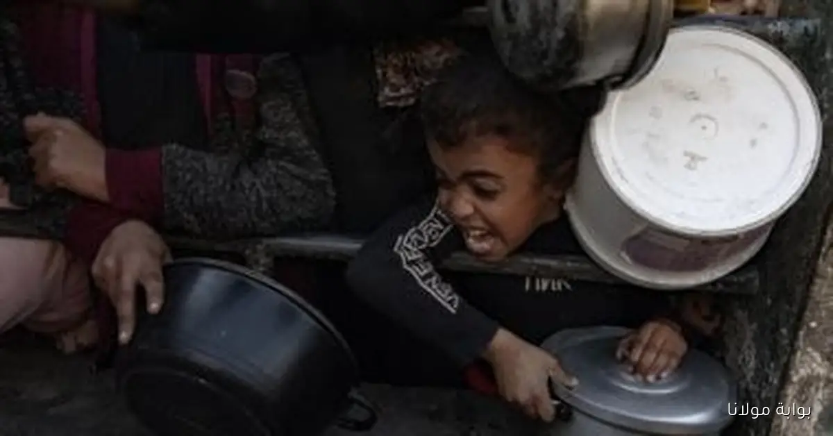 “الوطني الفلسطيني” يدين المشهد في غزة كجريمة إبادة جماعية في ظل صمت دولي مقلق