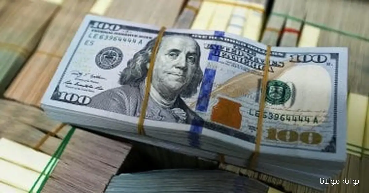 انخفاض سعر الدولار اليوم الأحد في منتصف التعاملات ليصل إلى 48.05 جنيه للشراء