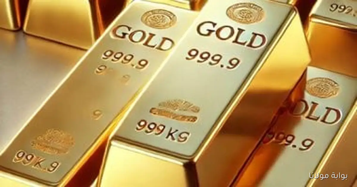 تأثير الفائدة الأمريكية على أسعار الذهب في مصر وكيف ينعكس ذلك على المستثمرين