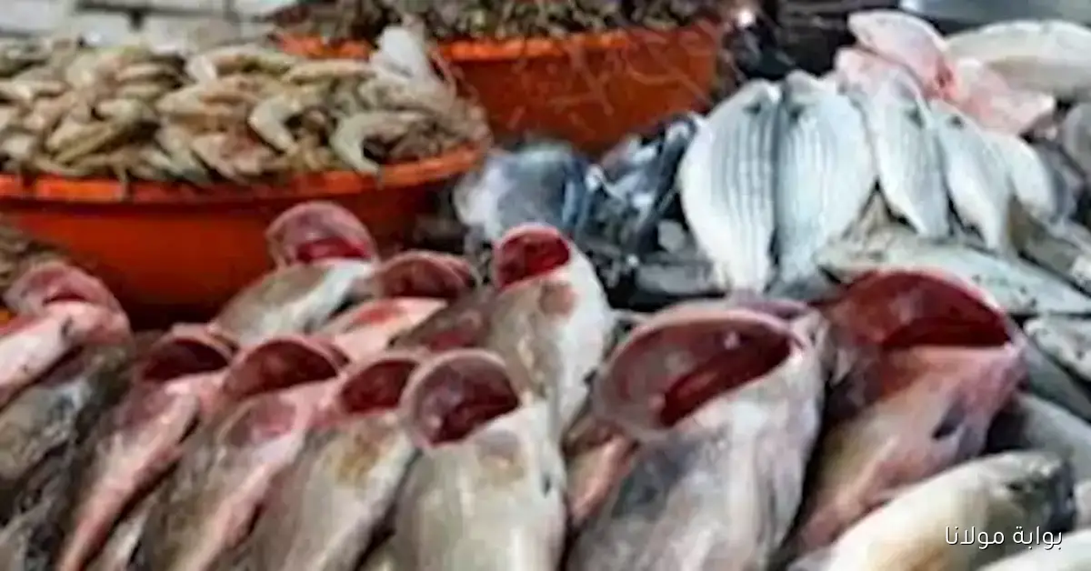 تراجع أسعار الكابوريا وتأثيره على سوق الأسماك والمأكولات البحرية في العبور اليوم