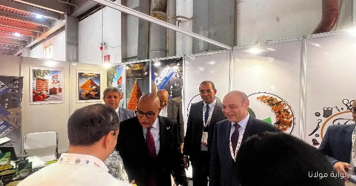 تعاون مميز بين التمثيل التجاري وMSMEDA لتنظيم الجناح المصري في معرض UPITS الدولي بالهند