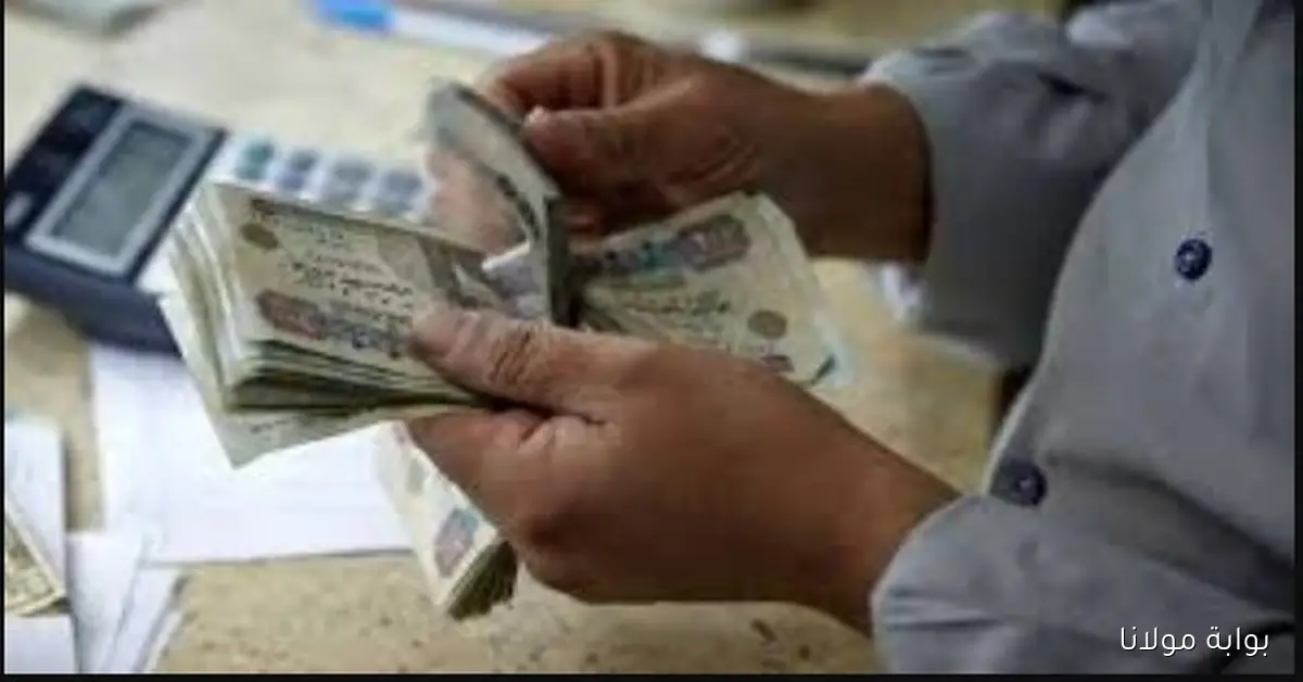 موعد صرف معاش تكافل وكرامة لشهر سبتمبر 2025 وكيفية استخراج الأسماء الجدد؟