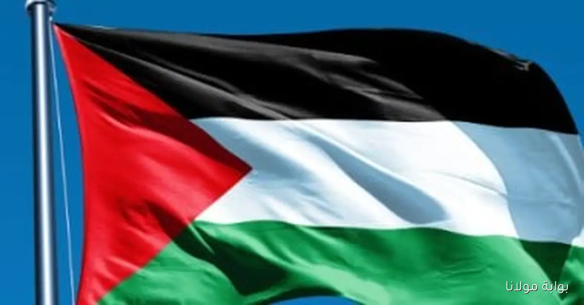 زعيم الحزب الاشتراكي الفرنسي يقترح رفع علم فلسطين في البلديات يوم 22 سبتمبر
