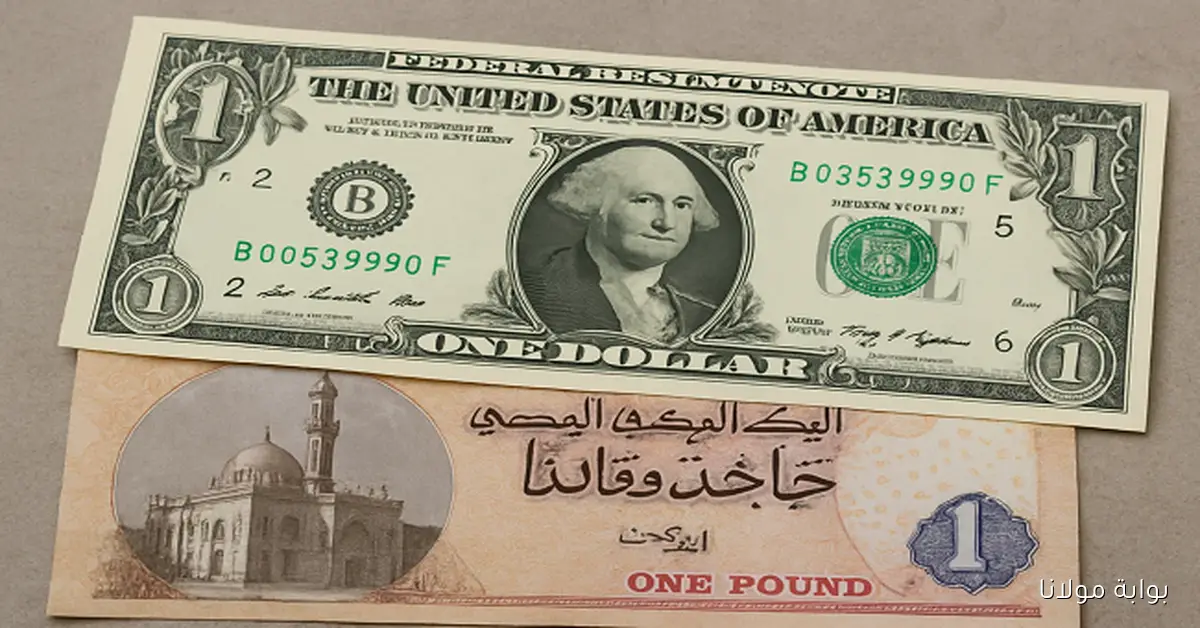 تحديث لحظي سعر الدولار اليوم 27-9-2025 بالبنوك المصرية وكم سجل؟