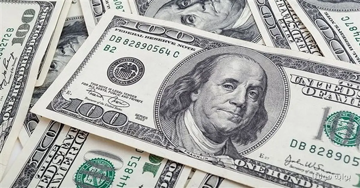 هدوء USD .. سعر الدولار مقابل الجنيه المصري اليوم الثلاثاء 2025/9/16 في السوق السوداء