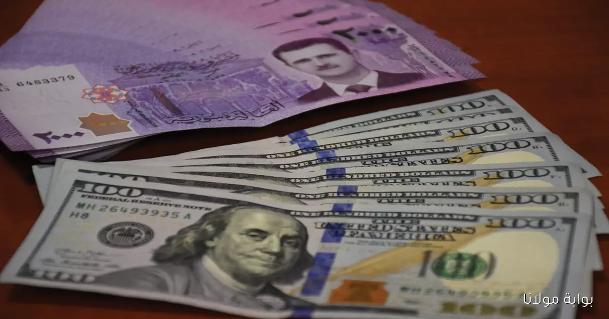 قفزة الأخضر .. سعر الدولار مقابل الليرة السورية اليوم الاحد 2025/9/14 في السوق السوداء