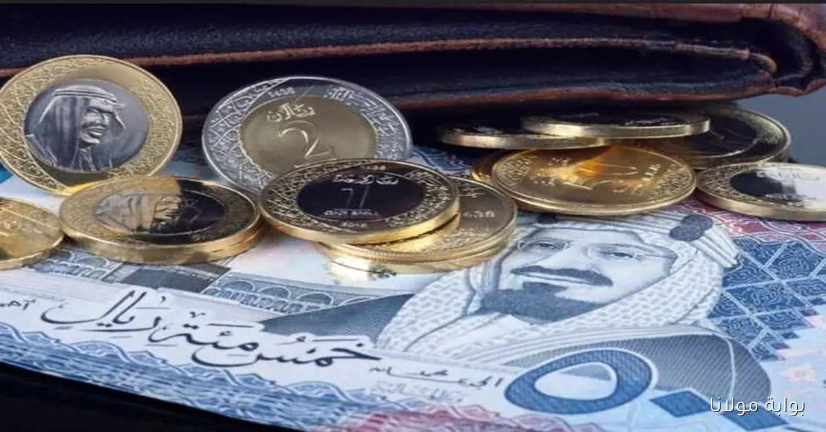 500 سعودي بكام مصري؟؟ سعر الريال السعودي مقابل الجنية المصري اليوم الاحد 2025/9/14 في السوق السوداء