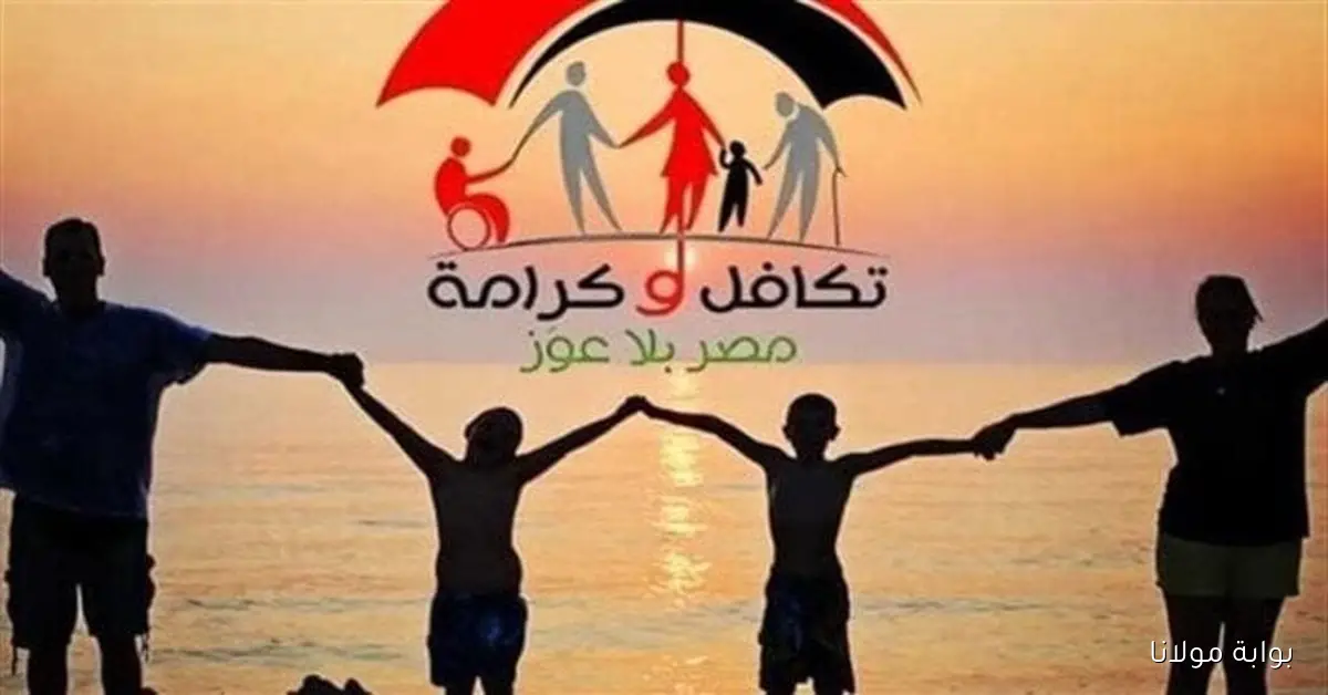 بالزياده الجديده إعرف شروط معاش تكافل وكرامة 2025 والفئات المستحقة