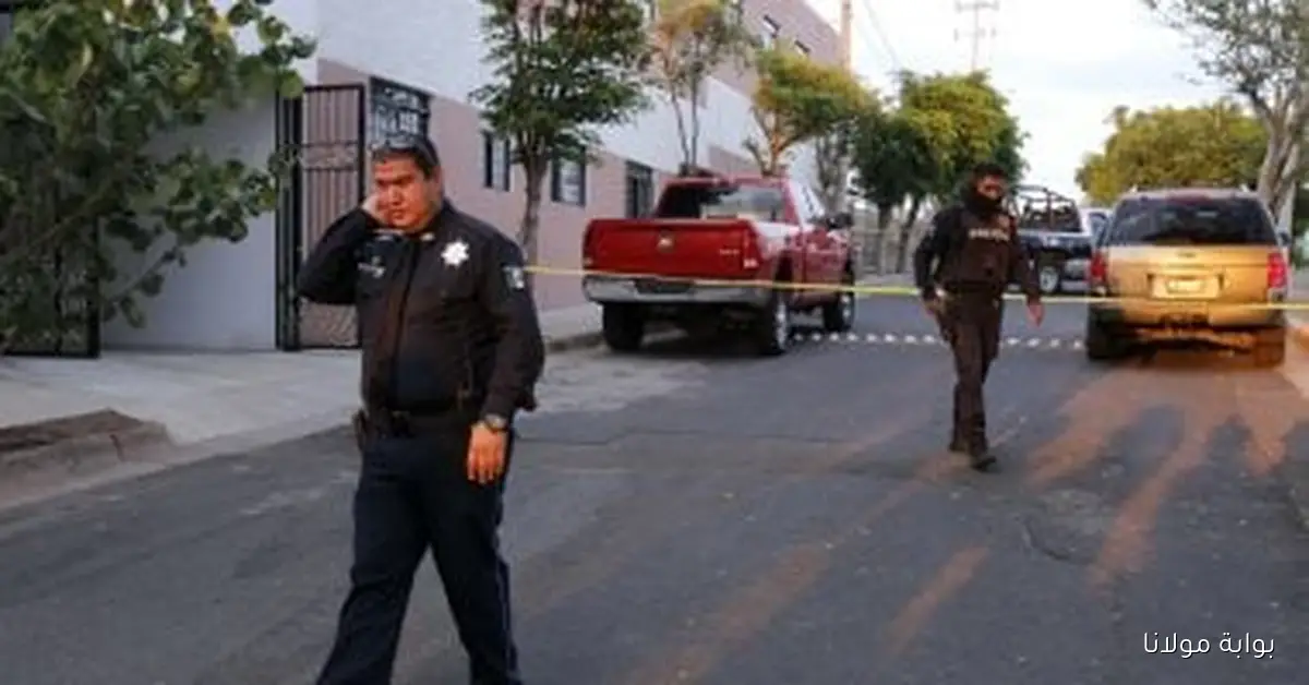 مصرع 15 شخصاً في حادث سير مروع بجنوب شرق المكسيك