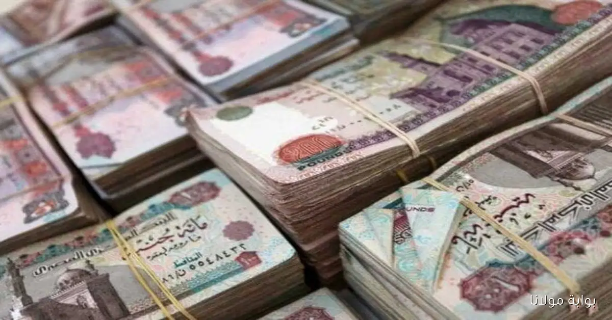 بالزيادة الأخيرة.. موعد صرف مرتبات أكتوبر 2025 للقطاعين الحكومي والخاص حسب وزارة المالية