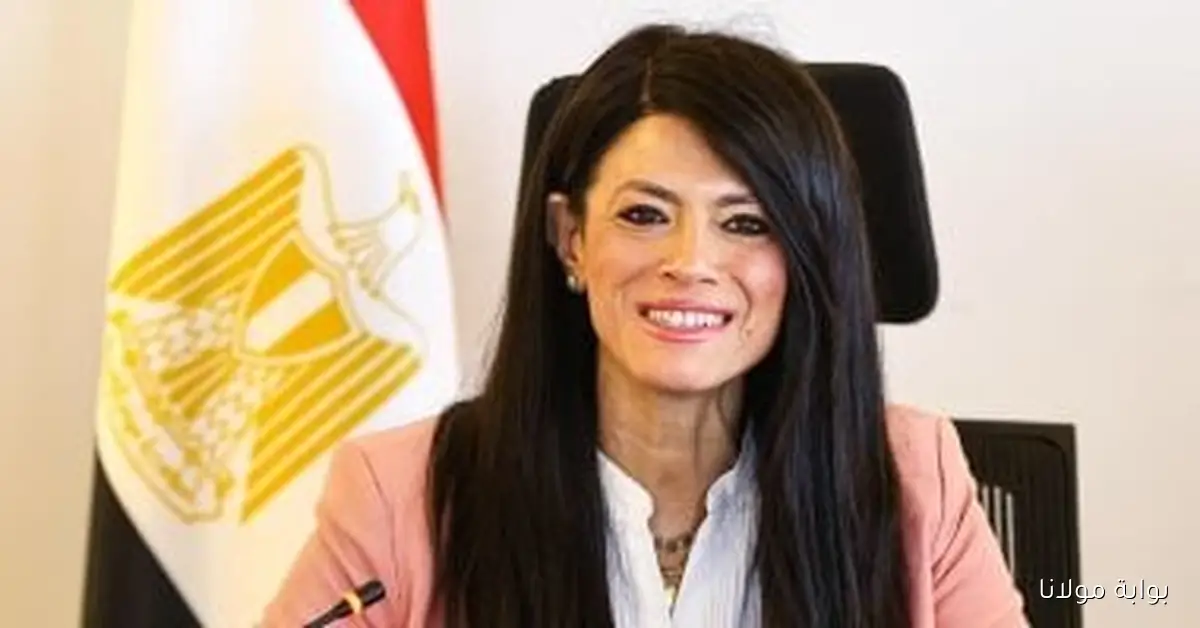 وزيرة التخطيط تكشف عن جذب الشركات الناشئة 2.2 مليار دولار وتعلن عن حوافز جديدة قريبًا