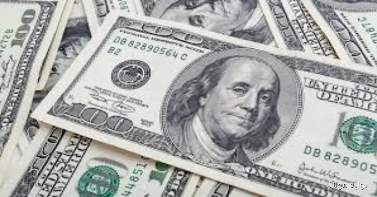 تحديث أسعار الدولار مقابل الجنيه اليوم 18 أكتوبر 2025
