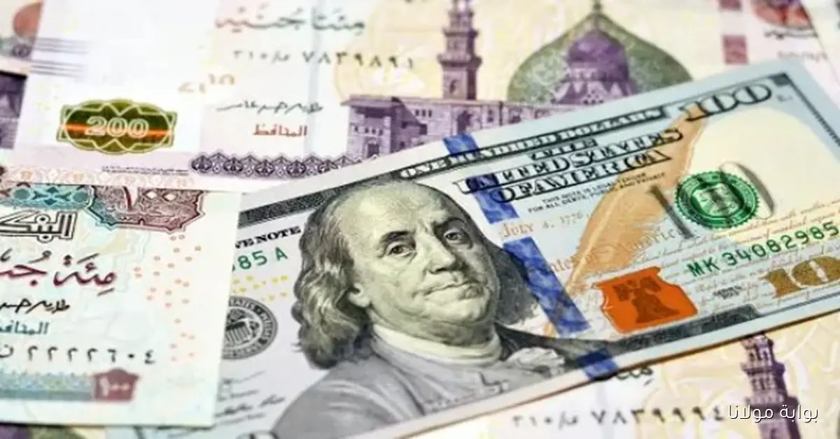 «الأسعار بتكشف أسرار جديدة».. الدولار يسجل ارتفاعًا ملحوظًا مقابل الجنيه في ختام يوم الأحد