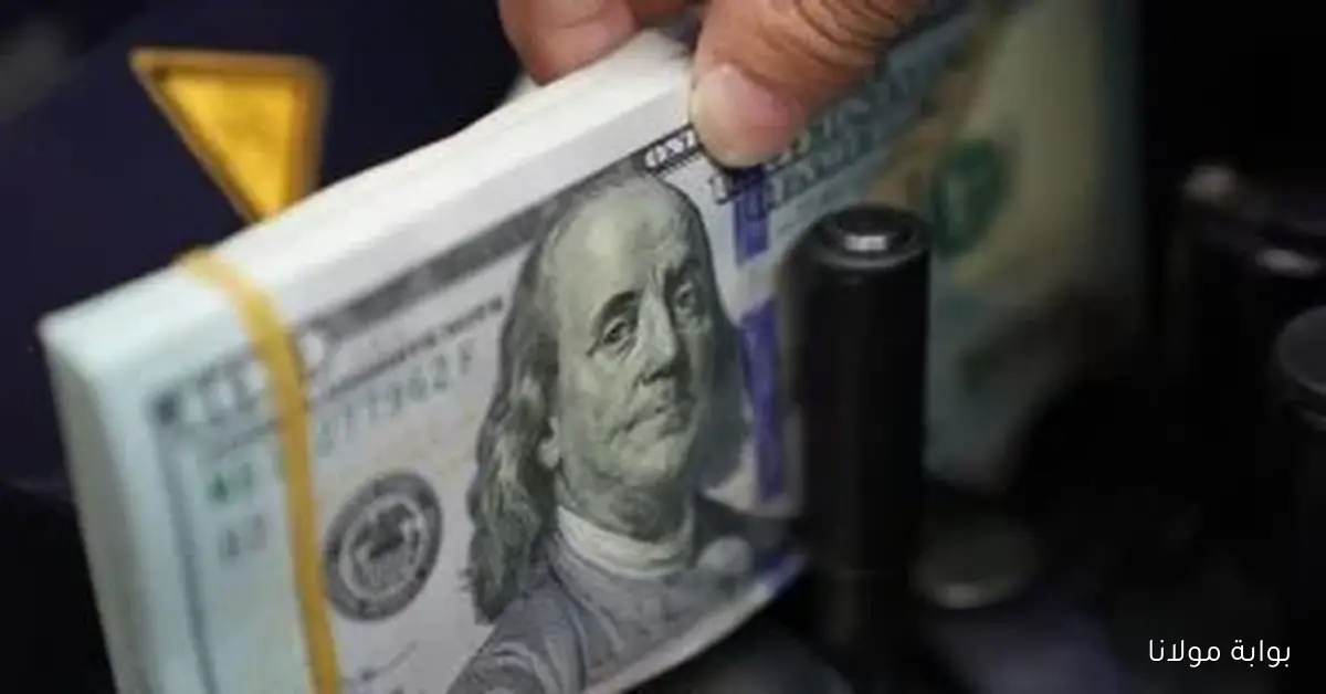 أسعار الدولار مقابل الجنيه في البنك المركزي اليوم الجمعة 10 أكتوبر 2025