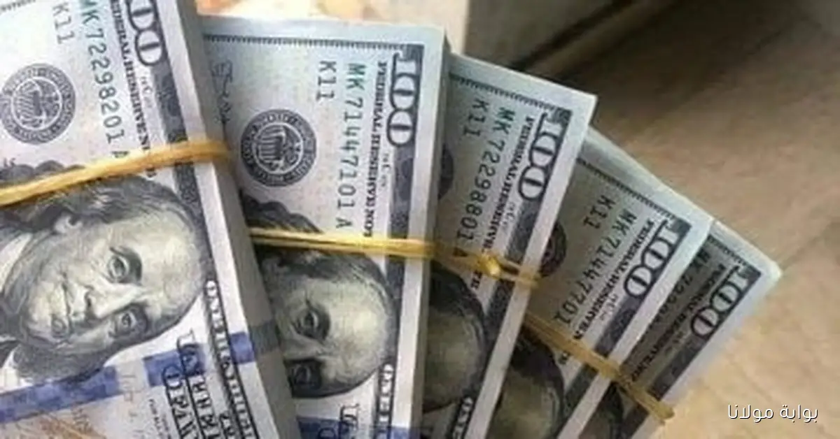 أسعار الدولار والعملات الأجنبية اليوم الخميس 9 أكتوبر 2025 في متناول يدك