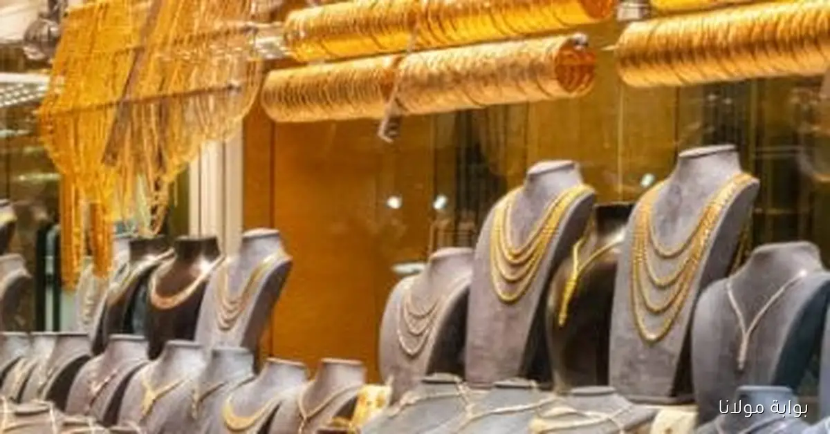 أسعار الذهب في مصر تشهد انخفاضًا ملحوظًا بمتوسط 10 جنيهات وعيار 21 يصل إلى 5335 جنيها