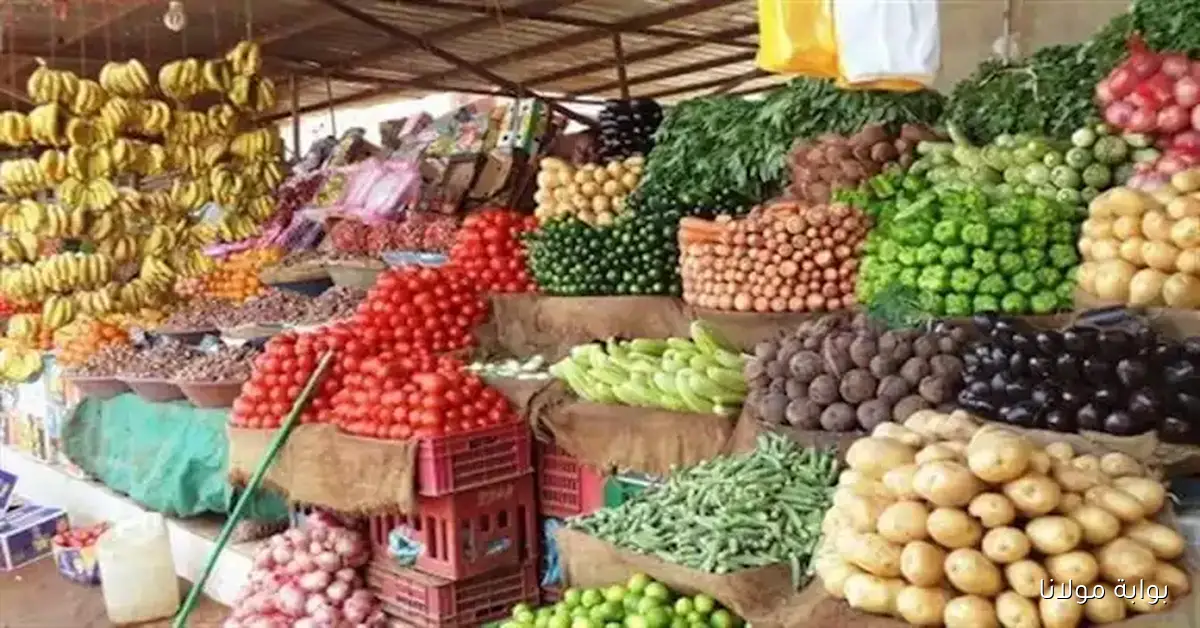 أسعار الطماطم والخضروات في سوق العبور اليوم تصل إلى 24 جنيها للكيلو