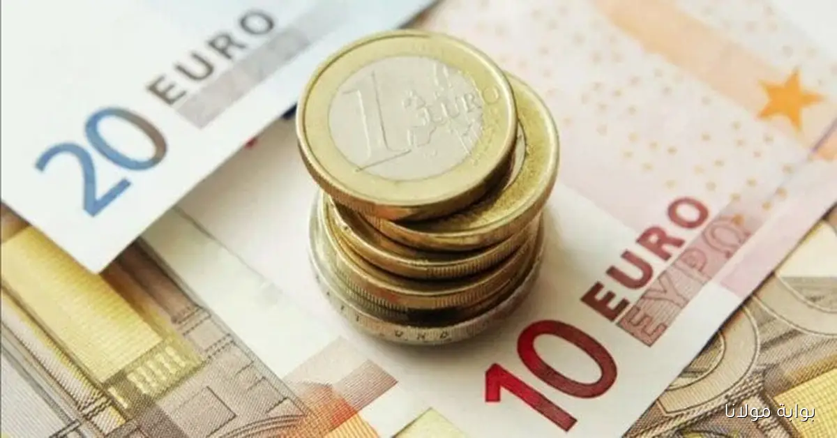 أسعار اليورو في البنوك المصرية اليوم الأربعاء 8 أكتوبر 2025