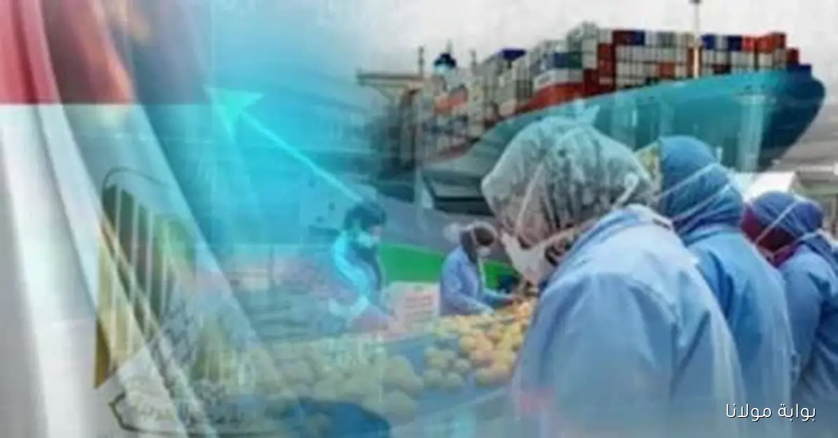 ارتفاع صادرات البلاد بنسبة 2.9% في يوليو 2025 وفقاً لجهاز الإحصاء