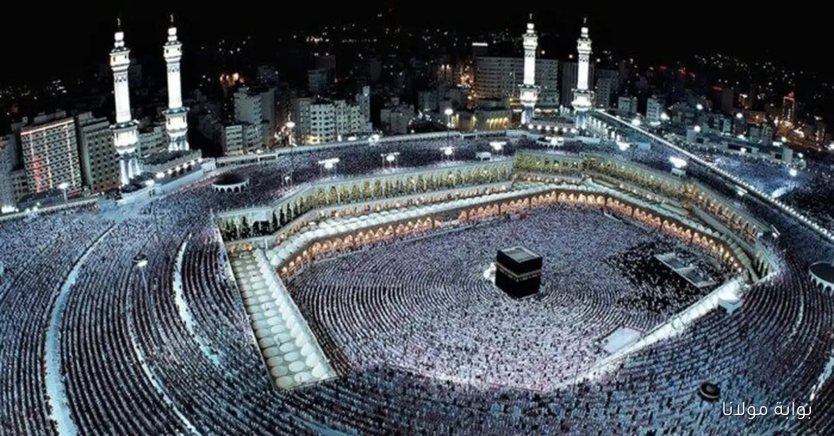 «استعدوا».. حج الجمعيات الأهلية 2026 يبدأ التسجيل مع الشروط ورابط التقديم المتاح
