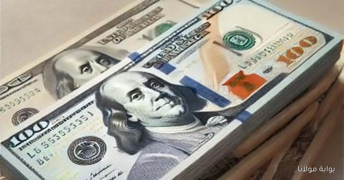 «الأسعار بتكشف أسرار جديدة».. الدولار يسجل 47.50 جنيها للشراء أمام الجنيه بالبنك الأهلى اليوم