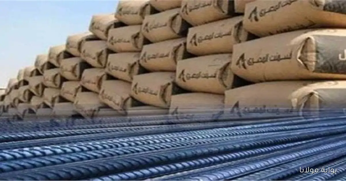 «الأسعار نار».. سعر طن الحديد والأسمنت اليوم الخميس 23 أكتوبر 2025 في الأسواق