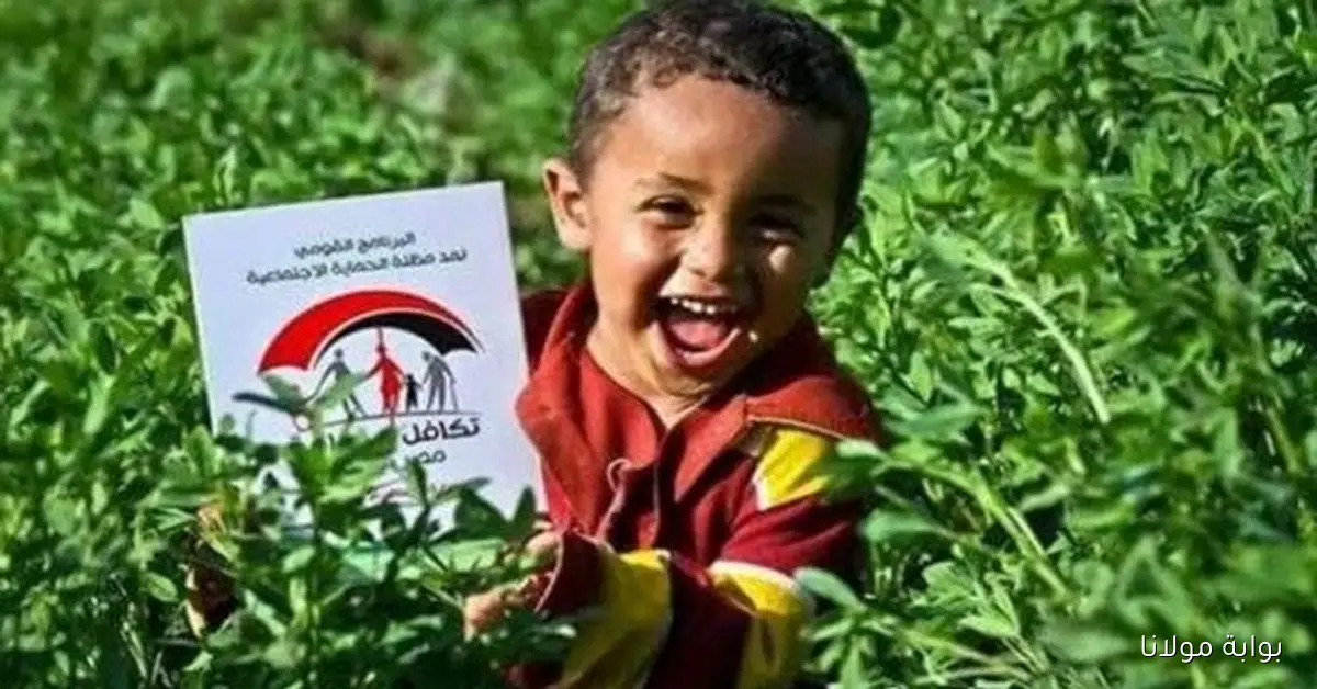 الاستعلام عن معاش تكافل وكرامة بواسطه الرقم القومي 2025 وأماكن الصرف