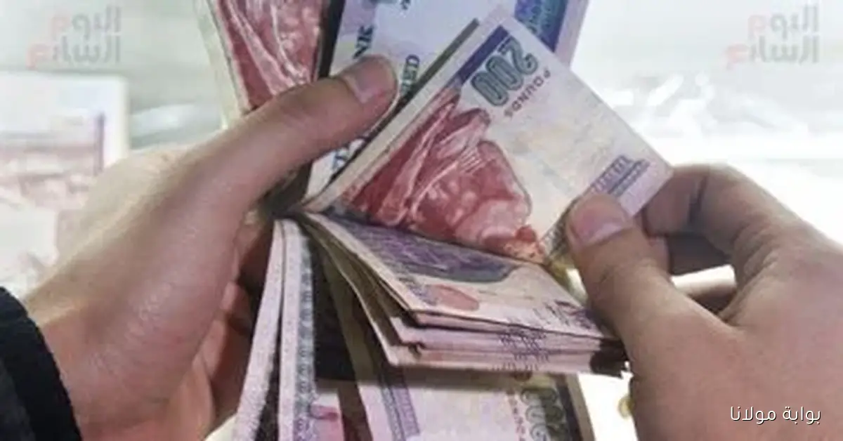 «الخبر اللي الكل مستنيه».. البنك المركزي يعلن عن مصير شهادة الادخار 17% في الاجتماع المقبل