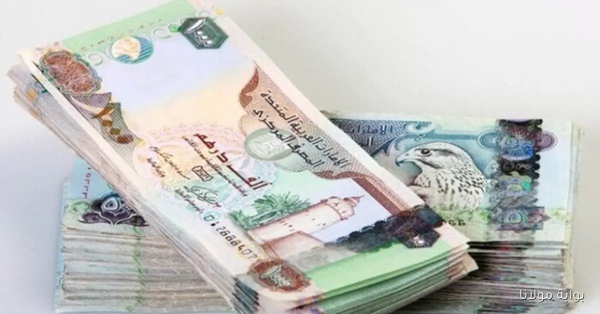 «الدنيا طالعه».. سعر الدرهم الإماراتي يسجل ارتفاعًا ملحوظًا اليوم الخميس 23 أكتوبر 2025