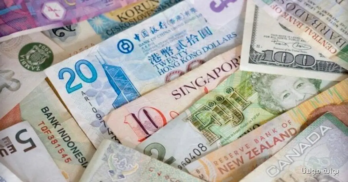 الدولار بكام دلوقتى؟.. أسعار العملات العربية والأجنبية في مصر اليوم الإثنين 6 أكتوبر 2025