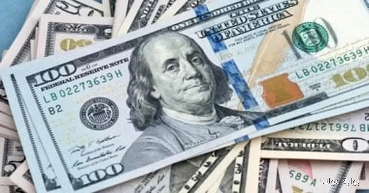 انخفاض سعر الدولار أمام الجنيه في بداية تعاملات الثلاثاء 7 أكتوبر 2025 بواقع 4 قروش