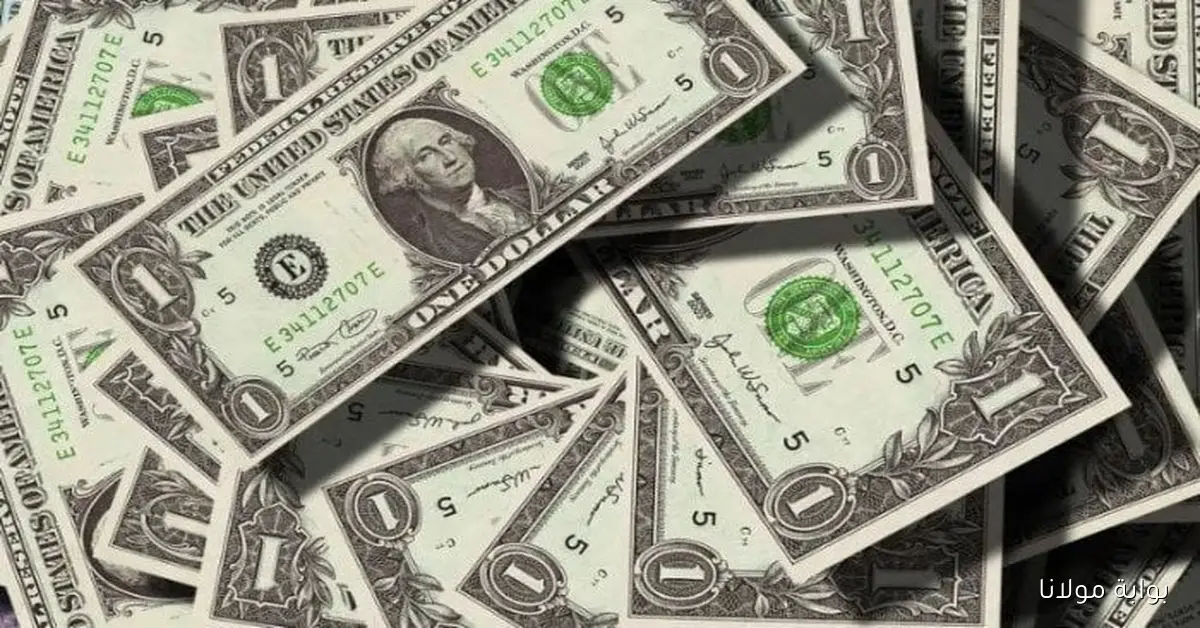 بكام النهاردة؟.. سعر الدولار في مصر مقابل الجنيه اليوم الأربعاء 1-10-2025