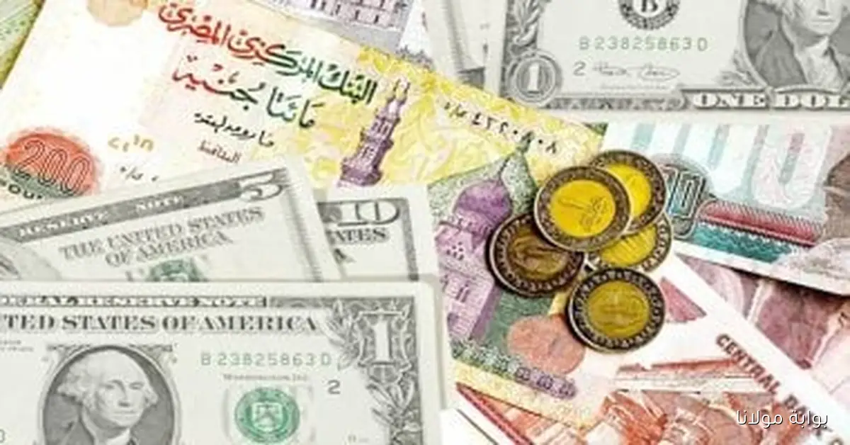 تحديثات أسعار العملات لليوم الثلاثاء 7 أكتوبر 2025