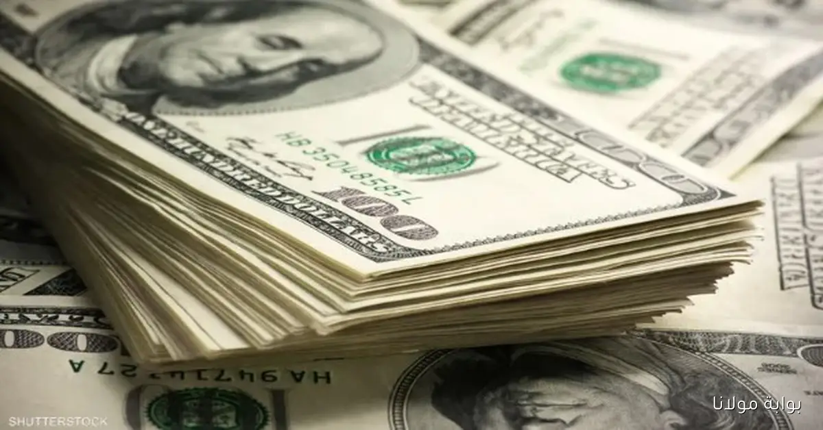 تحديثات جديدة حول سعر الدولار في البنك المركزي يوم الأربعاء