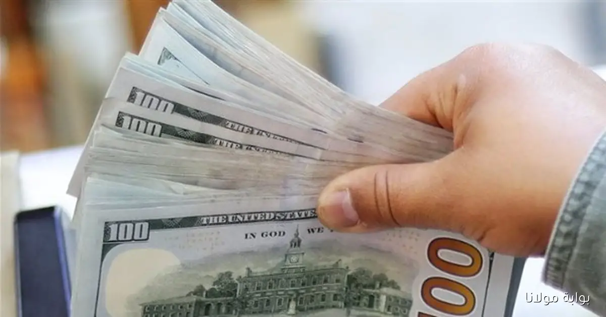 تحديثات جديدة حول سعر الدولار مقابل الجنيه المصري في البنوك
