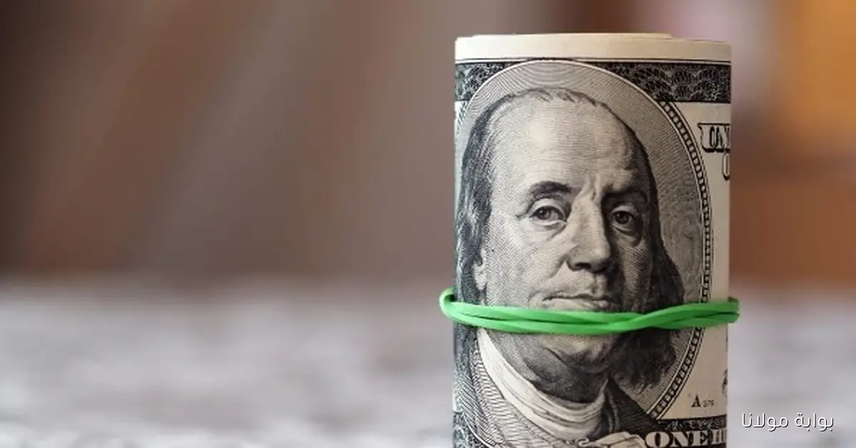 تحديثات سعر الدولار مقابل الجنيه المصري اليوم