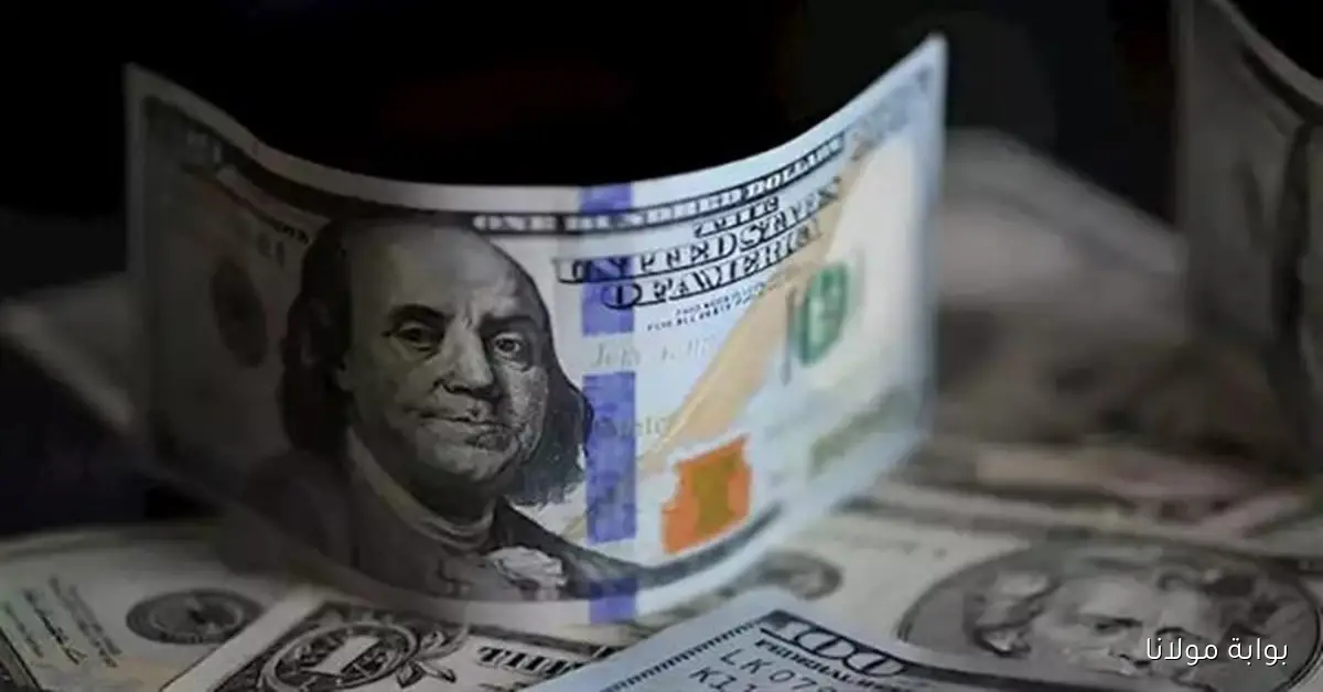 تحديثات سعر الدولار مقابل الجنيه اليوم السبت 18 أكتوبر 2025