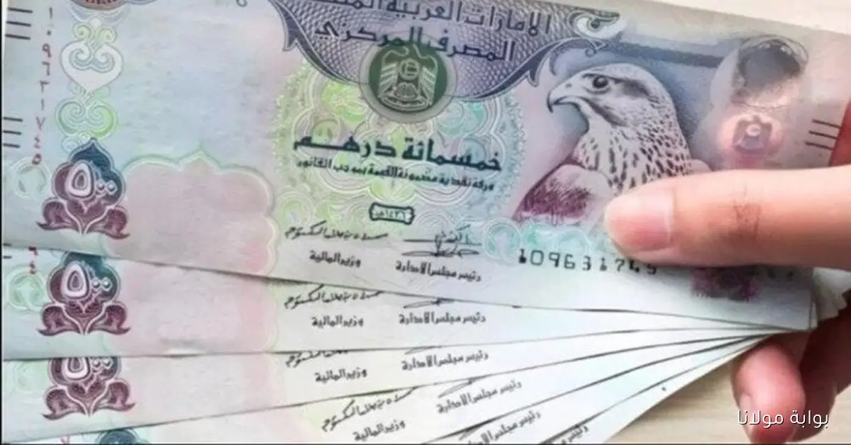 تعرّف على سعر الدرهم الإماراتي اليوم الخميس 9 أكتوبر 2025