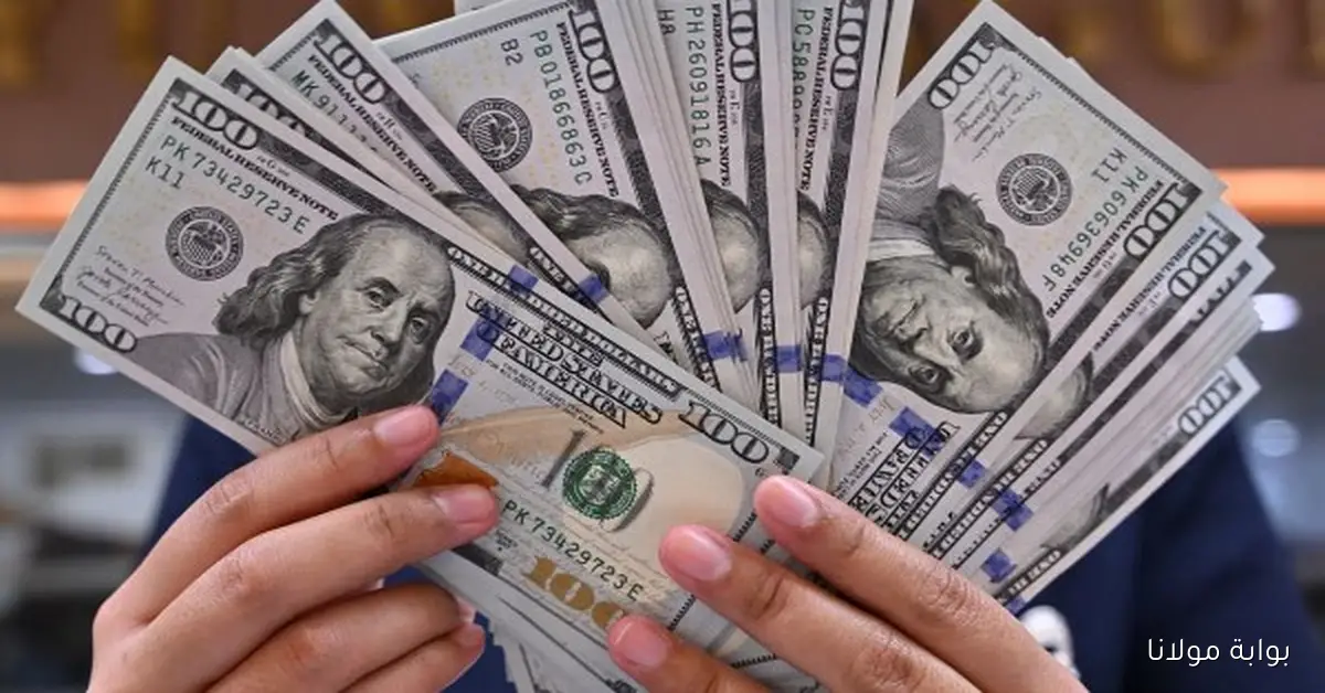 سعر الدولار في مصر يشهد انخفاضاً مستمراً اليوم